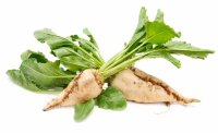 Informazioni, usi, benefici per la salute e valori nutrizionali della barbabietola da zucchero
